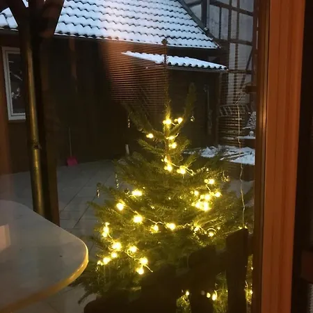„altes Haus“ *